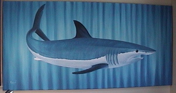 Mako Shark painting by Buck Marlow